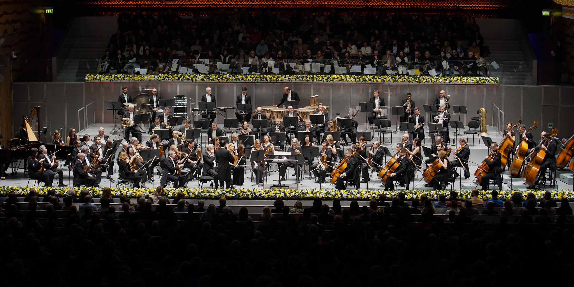 Orquestra Sinfónica do Porto Casa da Música