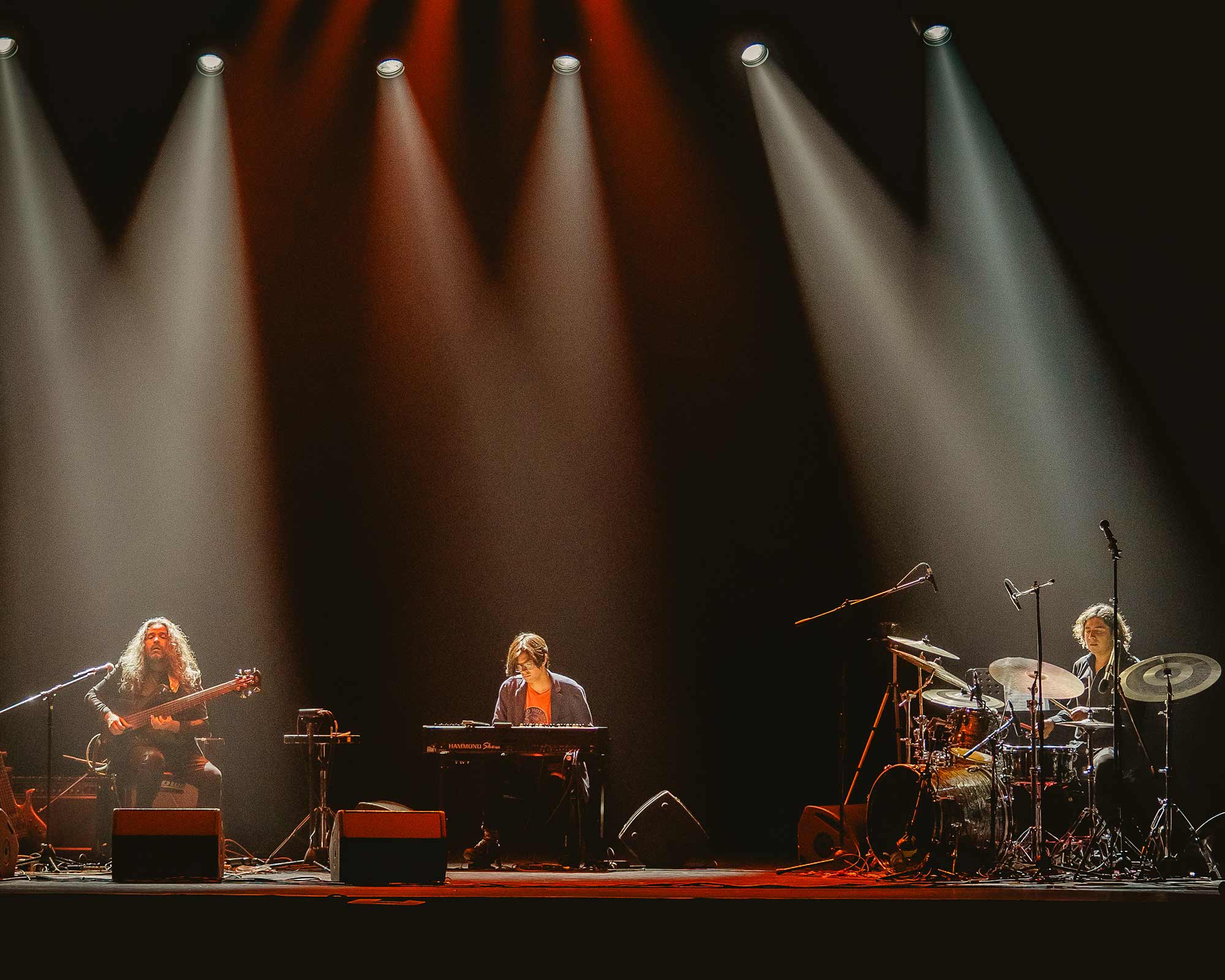 Chris Organ Trio