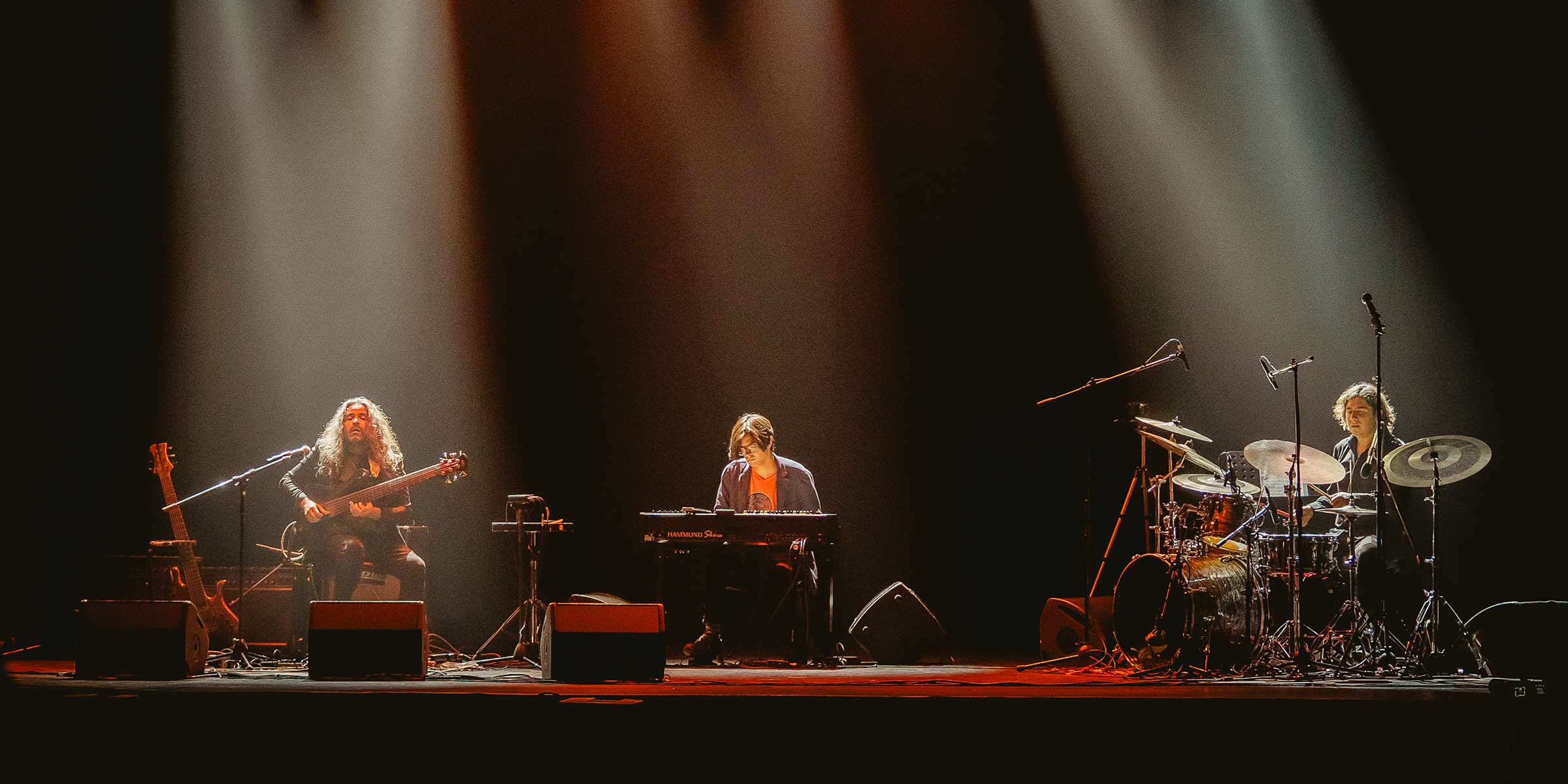 Chris Organ Trio